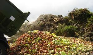 Study proposes packaging solutions to food waste